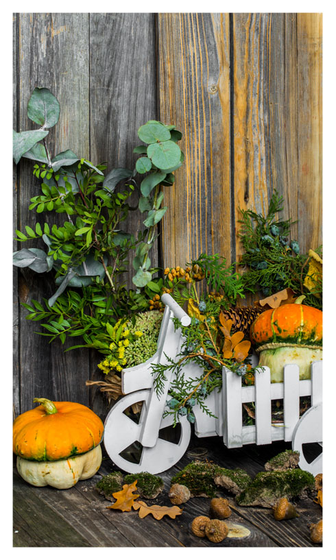 Φθινοπωρινή διακόσμηση σπιτιού | Artline Έπιπλα Άργος